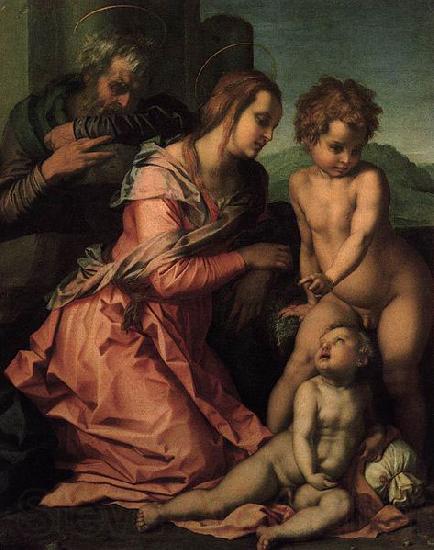Andrea del Sarto Holy Family France oil painting art